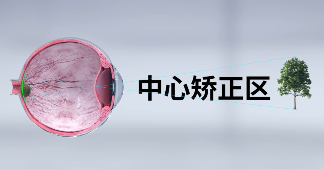 PG齫Ѱ-pg齫°ȫ-ɫԴ